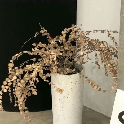 Furry绘画色彩技巧FurryQQ群